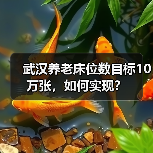 武汉养老床位数目标10万张，如何实现？（图4）