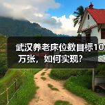武汉养老床位数目标10万张，如何实现？（图3）