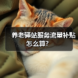养老驿站服务流量补贴怎么算？（图2）