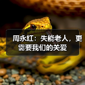周永红：失能老人，更需要我们的关爱（图3）