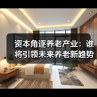 资本角逐养老产业：谁将引领未来养老新趋势？（图3）