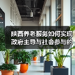 陕西养老服务如何实现政府主导与社会参与的双赢发展?(图2) 陕西养老服务如何实现政府主导与社会参与的双赢发展?(图2)