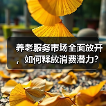 养老服务市场全面放开，如何释放消费潜力？（图4）