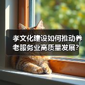 孝文化建设如何推动养老服务业高质量发展？（图2）