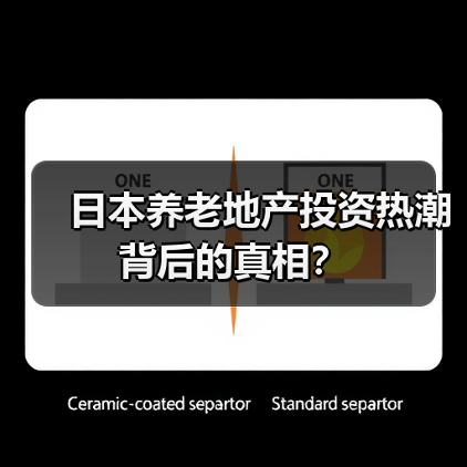 日本养老地产投资热潮背后的真相？（图3）