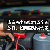 南京养老服务市场全面放开，如何应对供需矛盾？（图3）