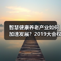 智慧健康养老产业如何加速发展?2019大会权威解读(图4) 智慧健康养老产业如何加速发展?2019大会权威解读(图4)