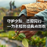 守护夕阳,志愿同行——为老服务盛典点燃敬老新风(图4) 守护夕阳,志愿同行——为老服务盛典点燃敬老新风(图4)