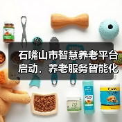 石嘴山市智慧养老平台启动，养老服务智能化升级（图1）