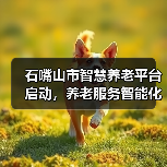 石嘴山市智慧养老平台启动，养老服务智能化升级（图4）