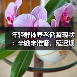 年轻群体养老储蓄现状:半数未准备,延迟规划风险高(图2) 年轻群体养老储蓄现状:半数未准备,延迟规划风险高(图2)