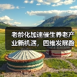 老龄化加速催生养老产业新机遇，四维发展路径如何破局？（图4）