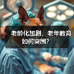 老龄化加剧,老年教育如何突围?(图3) 老龄化加剧,老年教育如何突围?(图3)