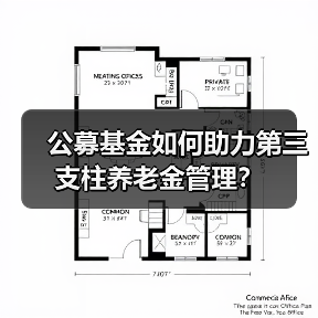公募基金如何助力第三支柱养老金管理？（图3）