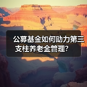 公募基金如何助力第三支柱养老金管理？（图4）