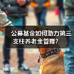 公募基金如何助力第三支柱养老金管理？（图2）