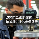 减轻用工成本 湖南上半年减征企业养老保险费9.31亿元(图1) 减轻用工成本 湖南上半年减征企业养老保险费9.31亿元(图1)