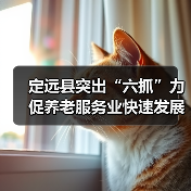定远县突出“六抓”力促养老服务业快速发展(图2) 定远县突出“六抓”力促养老服务业快速发展(图2)