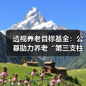 透视养老目标基金:公募助力养老“第三支柱”(图1) 透视养老目标基金:公募助力养老“第三支柱”(图1)