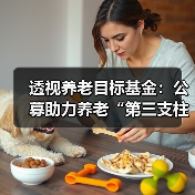 透视养老目标基金:公募助力养老“第三支柱”(图3) 透视养老目标基金:公募助力养老“第三支柱”(图3)