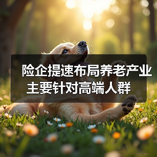 险企提速布局养老产业 主要针对高端人群(图4) 险企提速布局养老产业 主要针对高端人群(图4)