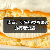 南京:引导各类资源兴办养老设施(图2) 南京:引导各类资源兴办养老设施(图2)