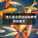 南方基金首批获批养老目标基金(图4) 南方基金首批获批养老目标基金(图4)