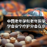 中国老年学和老年医学学会安宁疗护分会在京成立（图3）