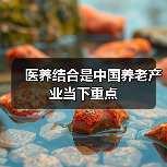 医养结合是中国养老产业当下重点(图3) 医养结合是中国养老产业当下重点(图3)