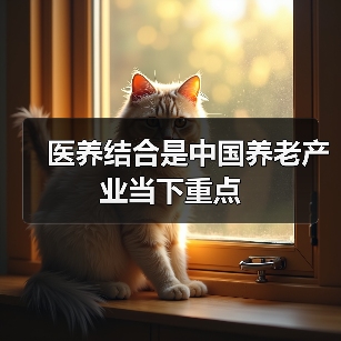 医养结合是中国养老产业当下重点(图4) 医养结合是中国养老产业当下重点(图4)