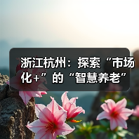 浙江杭州:探索“市场化+”的“智慧养老”新模式(图3) 浙江杭州:探索“市场化+”的“智慧养老”新模式(图3)