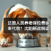 贫困人员养老保险费谁来代缴?沈阳新政解读(图2) 贫困人员养老保险费谁来代缴?沈阳新政解读(图2)