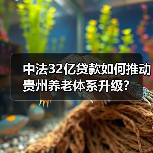 中法32亿贷款如何推动贵州养老体系升级?(图1) 中法32亿贷款如何推动贵州养老体系升级?(图1)