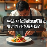 中法32亿贷款如何推动贵州养老体系升级?(图3) 中法32亿贷款如何推动贵州养老体系升级?(图3)