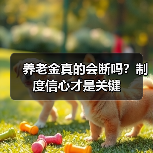 养老金真的会断吗？制度信心才是关键（图3）