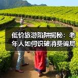 低价旅游陷阱揭秘：老年人如何识破消费骗局？（图3）