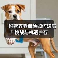 税延养老保险如何破局?挑战与机遇并存(图2) 税延养老保险如何破局?挑战与机遇并存(图2)