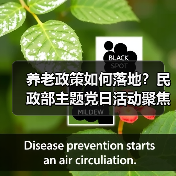 养老政策如何落地?民政部主题党日活动聚焦敬老公益实践(图3) 养老政策如何落地?民政部主题党日活动聚焦敬老公益实践(图3)