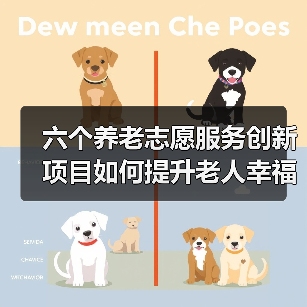 六个养老志愿服务创新项目如何提升老人幸福晚年(图4) 六个养老志愿服务创新项目如何提升老人幸福晚年(图4)