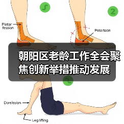 朝阳区老龄工作全会聚焦创新举措推动发展(图3) 朝阳区老龄工作全会聚焦创新举措推动发展(图3)