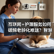 互联网+护理服务如何破解老龄化难题?智慧护理新趋势解析(图2) 互联网+护理服务如何破解老龄化难题?智慧护理新趋势解析(图2)