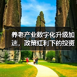 养老产业数字化升级加速,政策红利下的投资机会(图4) 养老产业数字化升级加速,政策红利下的投资机会(图4)