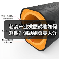 老龄产业发展战略如何落地?课题组负责人详解研究方向(图4) 老龄产业发展战略如何落地?课题组负责人详解研究方向(图4)