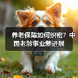 养老保障如何织密?中国老龄事业新进展(图3) 养老保障如何织密?中国老龄事业新进展(图3)