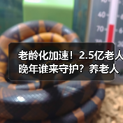 老龄化加速!2.5亿老人晚年谁来守护?养老人才短缺成困局(图4) 老龄化加速!2.5亿老人晚年谁来守护?养老人才短缺成困局(图4)