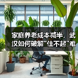 家庭养老成本减半,武汉如何破解 家庭养老成本减半,武汉如何破解