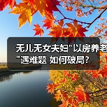 无儿无女夫妇 无儿无女夫妇