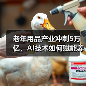 老年用品产业冲刺5万亿,AI技术如何赋能养老?(图4) 老年用品产业冲刺5万亿,AI技术如何赋能养老?(图4)