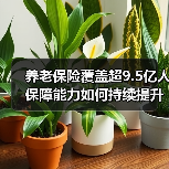 养老保险覆盖超9.5亿人 保障能力如何持续提升(图4) 养老保险覆盖超9.5亿人 保障能力如何持续提升(图4)