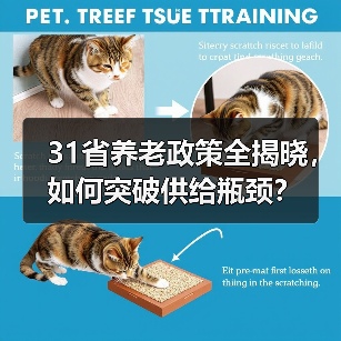 31省养老政策全揭晓,如何突破供给瓶颈?(图1) 31省养老政策全揭晓,如何突破供给瓶颈?(图1)